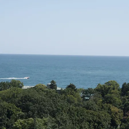 Bsa Золотые Пески