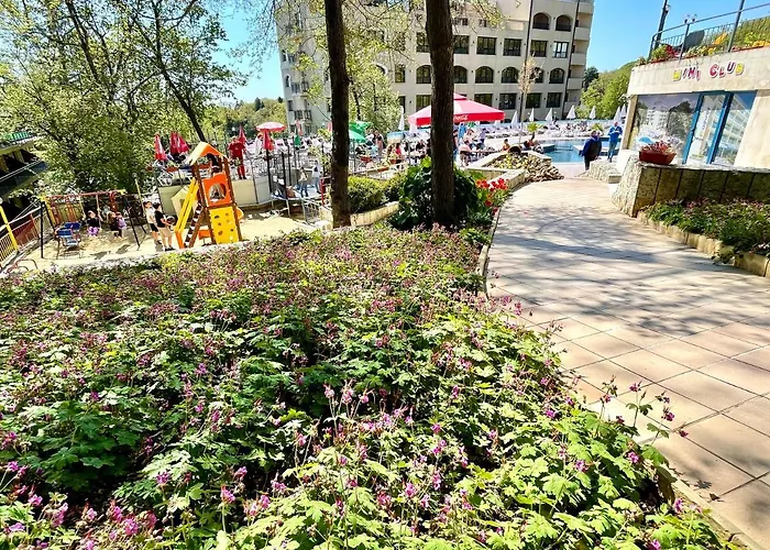 Bsa Золотые Пески