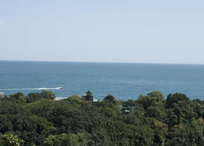 Bsa Золотые Пески